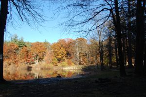 About Pine Banks Park