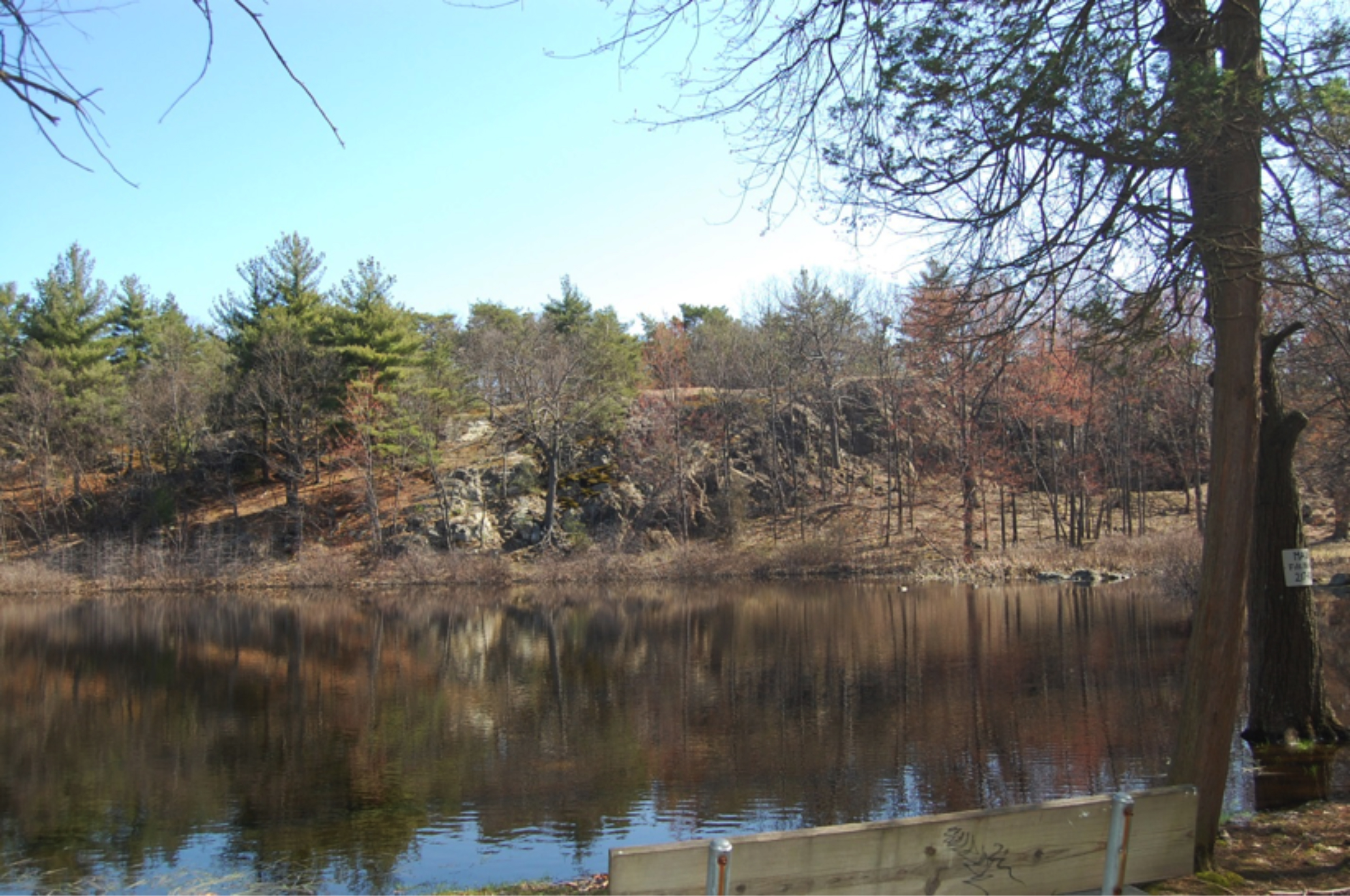 Pine Banks Pond